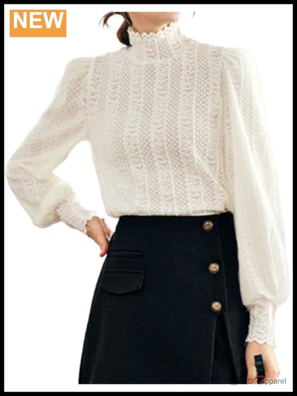 Victorian Flocked Lace Top Long Puff Sleeve Loose Fit Blouse